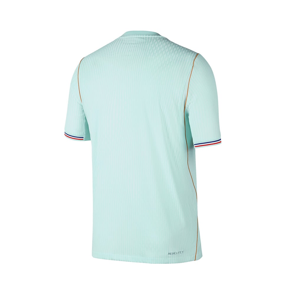 Nike Francia M Nk Dfadv Jsy Ss Match Aw MULTICOLOR 