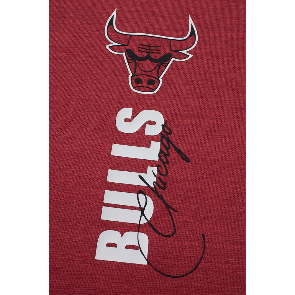 Fexpro Jersey Chicago Bulls image number null