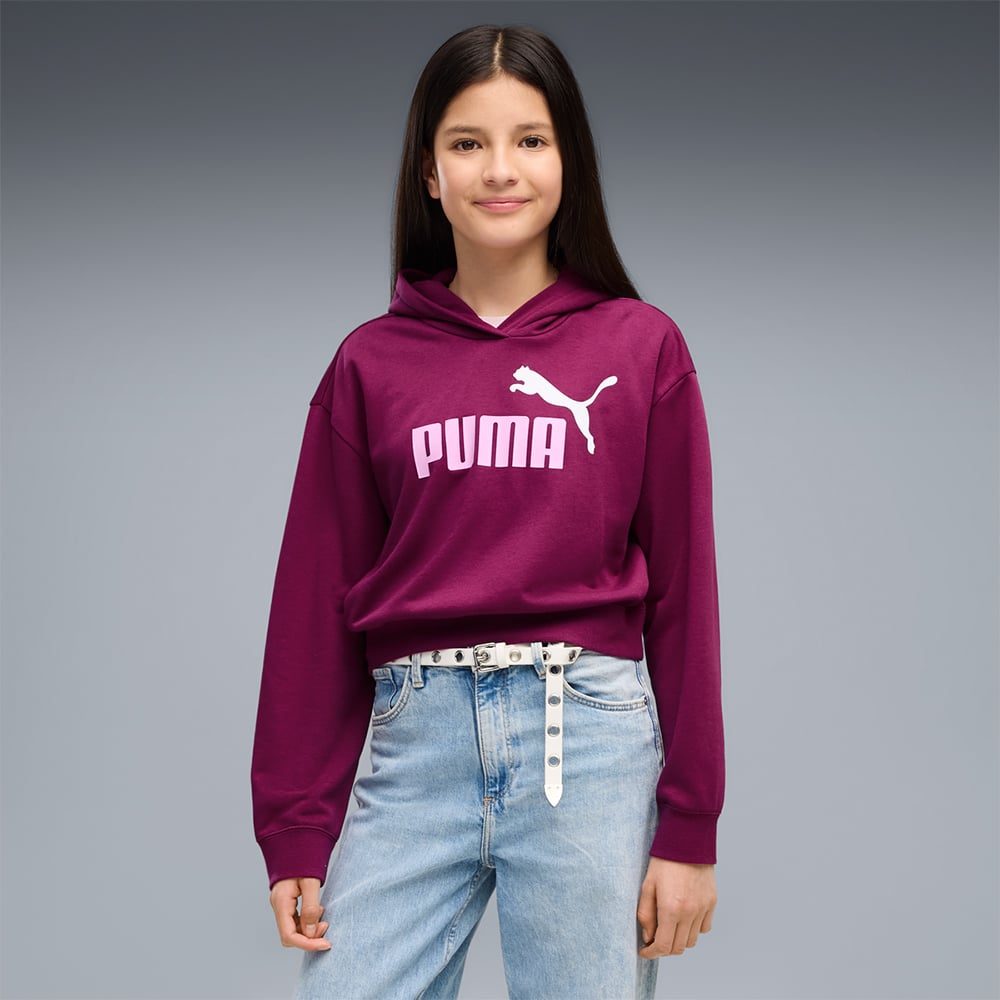 Puma Ess 2 Color No 1 Logo Short Length Hoodie Tr G image number null