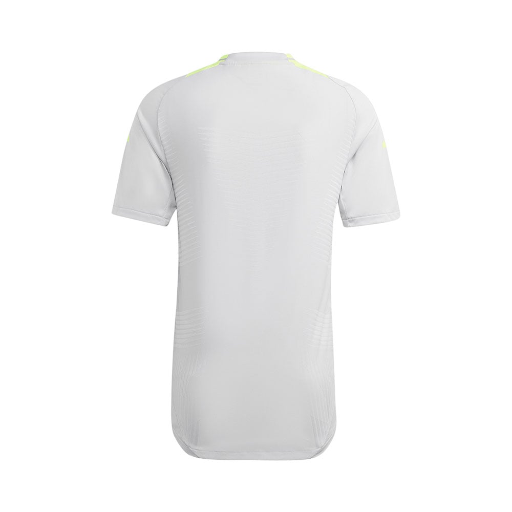 Adidas Jersey De Entrenamiento Tiro 24 Pro GRIS 