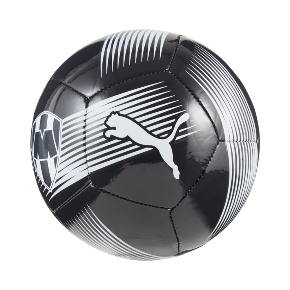 Puma Mty Ess Ball Mini MULTICOLOR 1