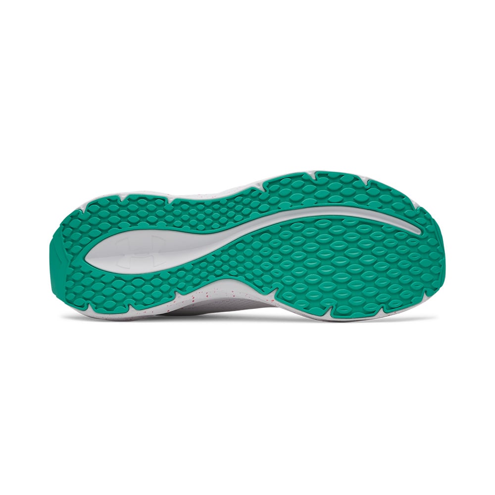 Under Armour Ascend MULTICOLOR 