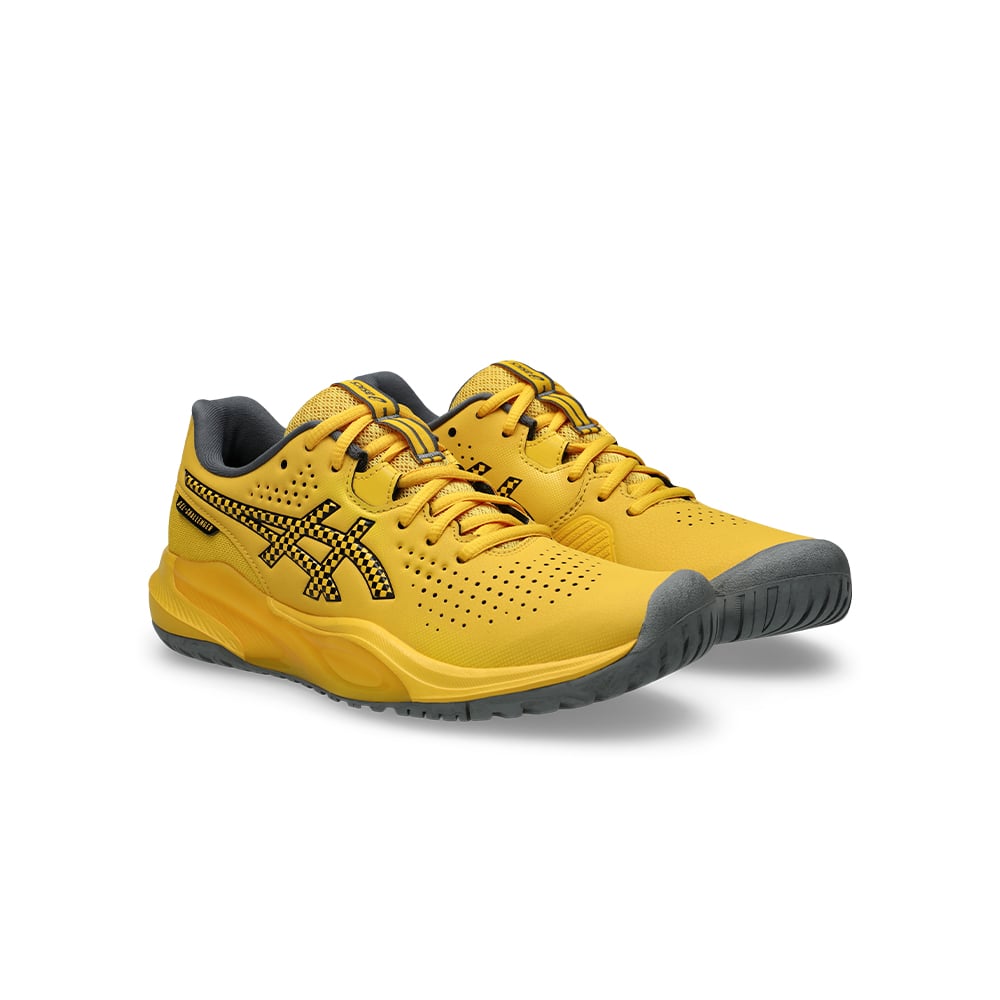 Asics Challenger 15 MULTICOLOR 
