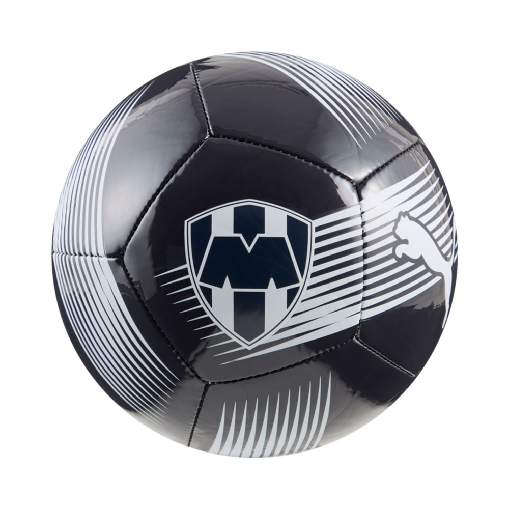 Puma Mty Ess Ball Mini MULTICOLOR 1