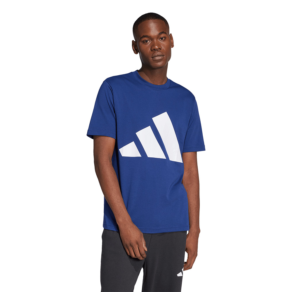 Adidas M Bl Sj T MULTICOLOR 