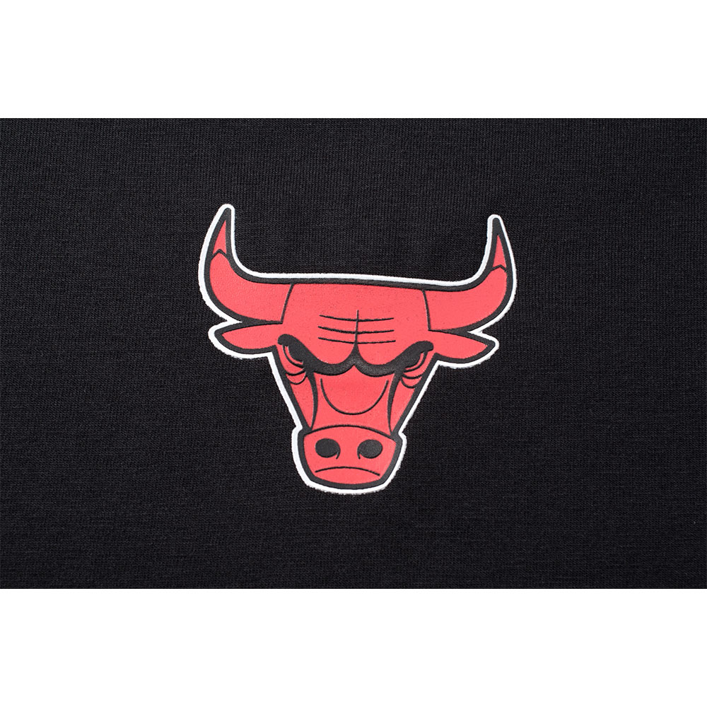 Fexpro Nba Back Print Chicago Bulls image number null