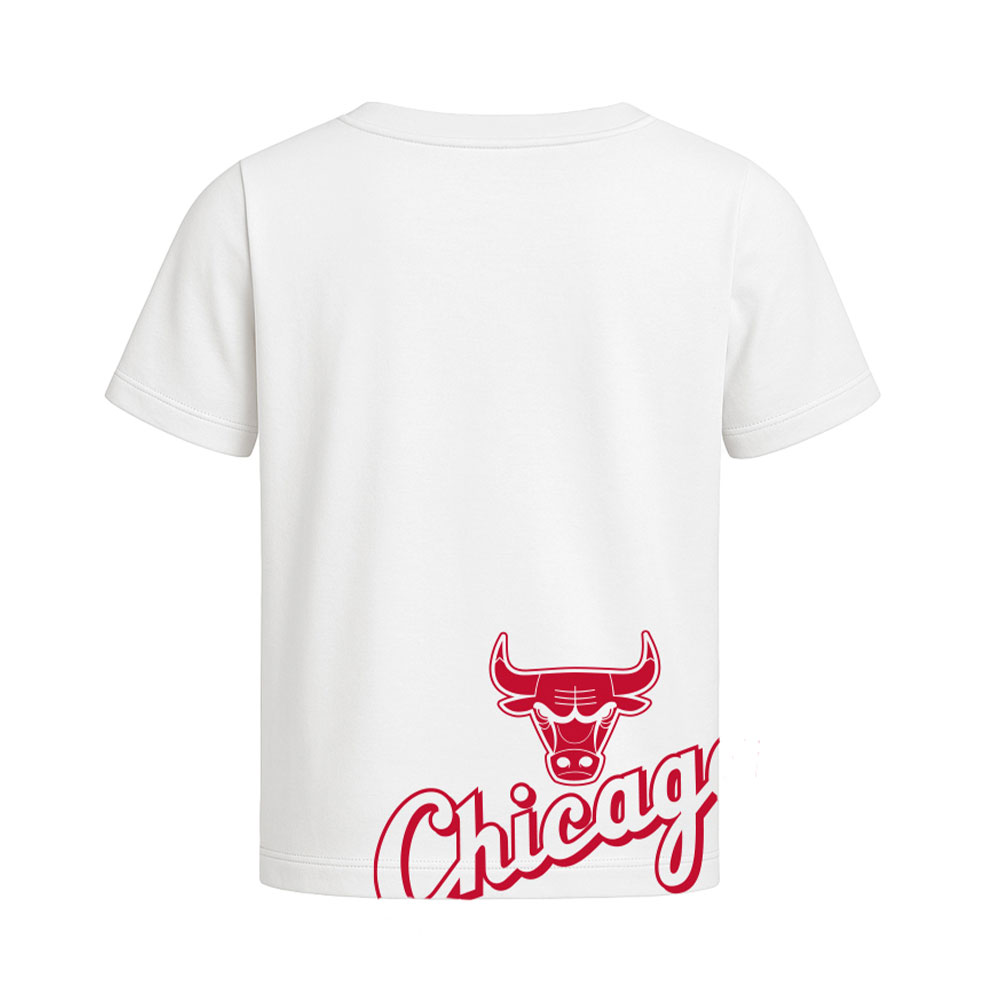 Fexpro Nba Real Hoops Chicago Bulls image number null