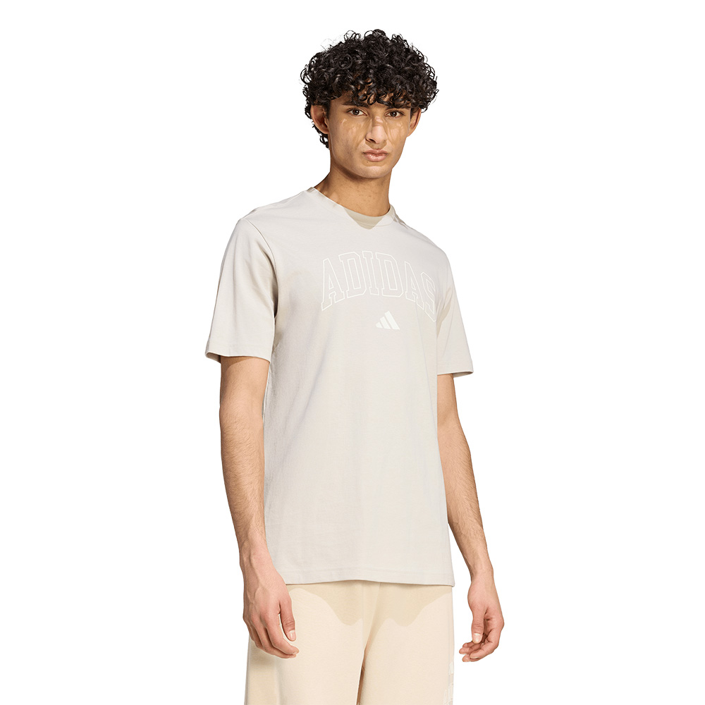 Adidas M Collegiate T MULTICOLOR 
