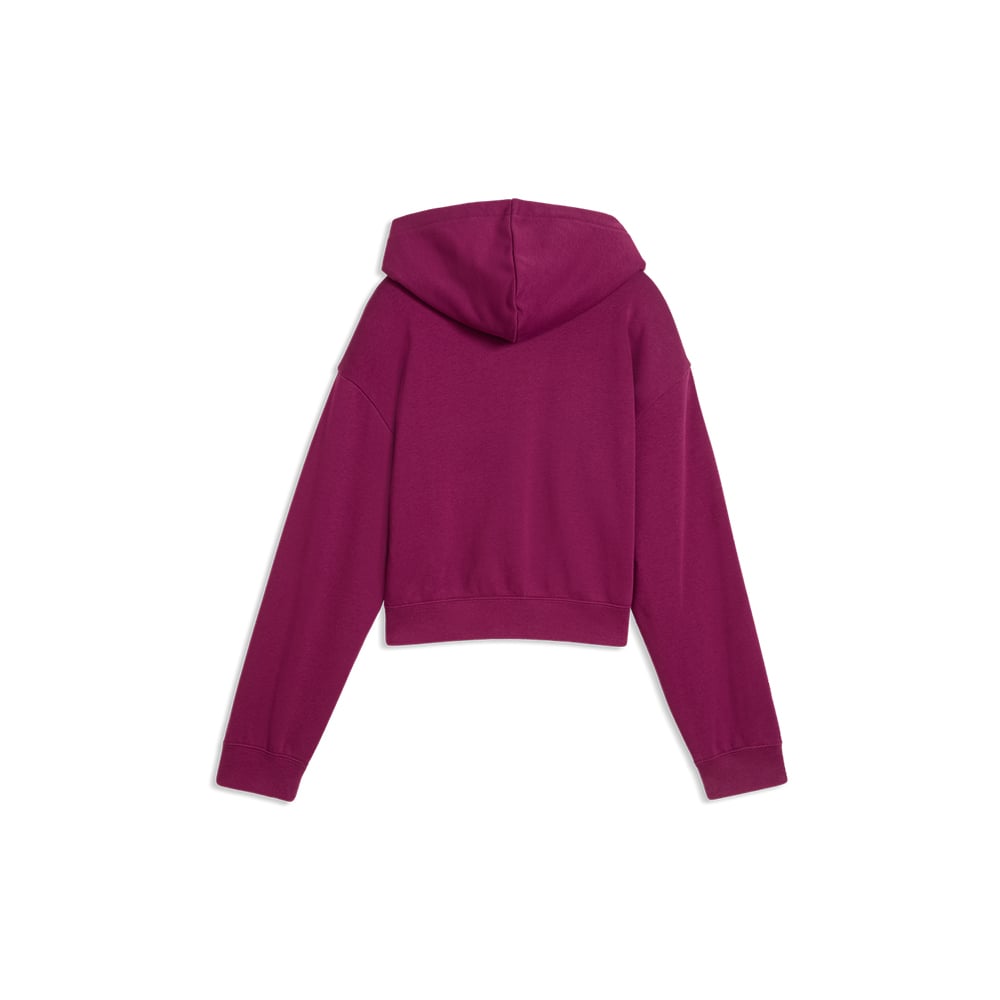 Puma Ess 2 Color No 1 Logo Short Length Hoodie Tr G image number null